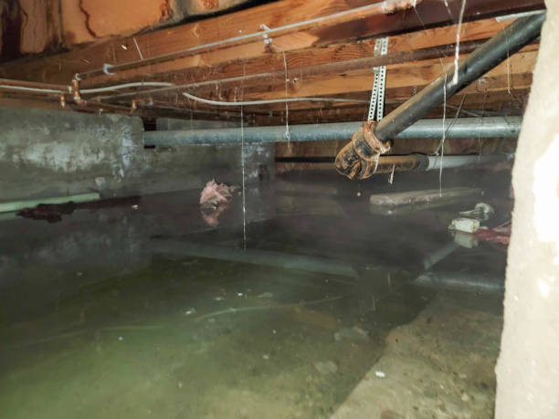 Best Residential water damage restoration  in Lumber City, GA