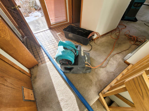 Best Mold removal after water damage  in Lumber City, GA