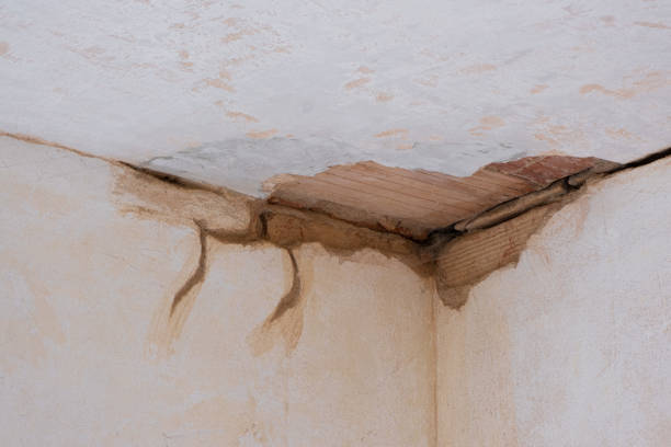 Best Flood restoration services  in Lumber City, GA