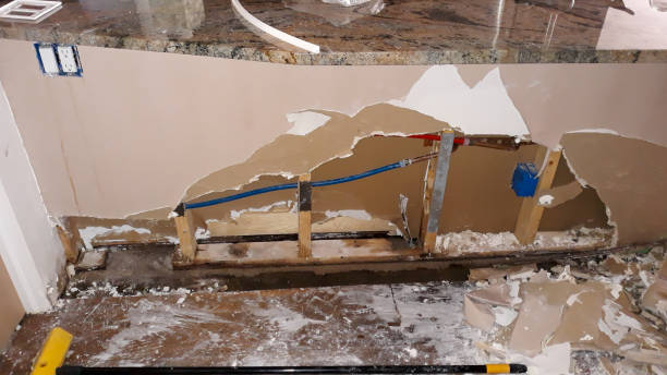 Best Flooded house restoration  in Lumber City, GA