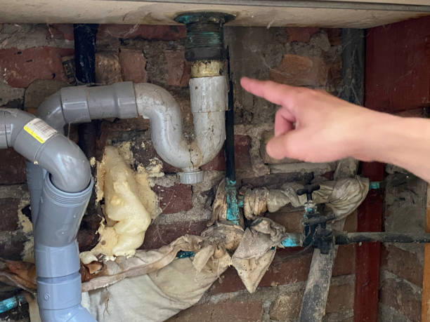 Best Local water damage restoration  in Lumber City, GA